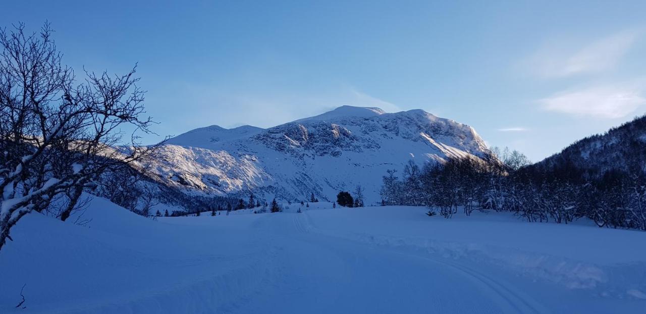 Dalhus - House In The Valley Norddal Bagian luar foto